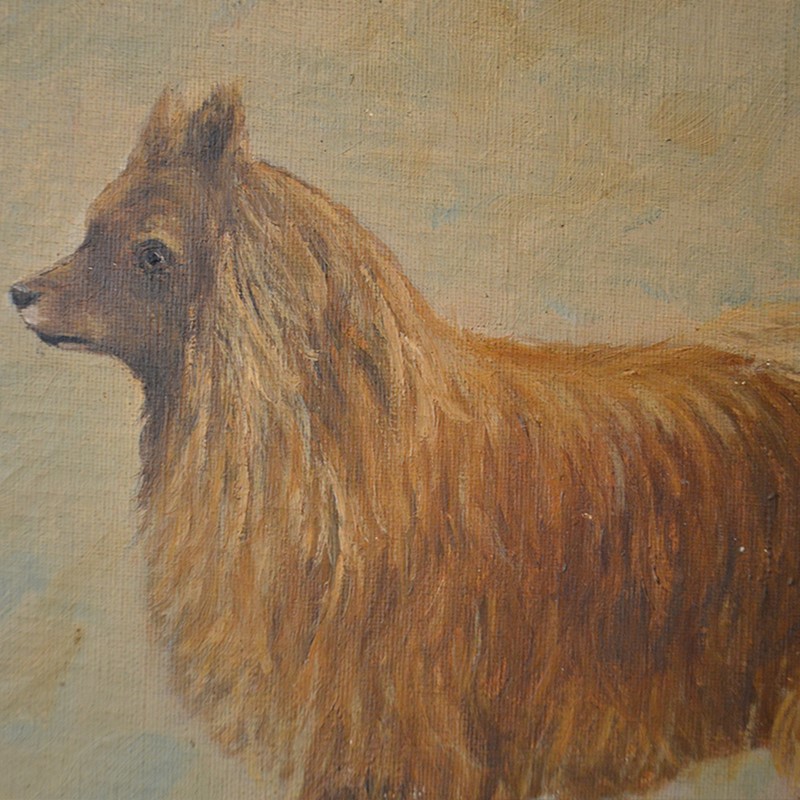 Early 20th Century, Belgian, Naive Dog Portrait-barnstar-naive-dog-3-main-637584121263637872.jpg