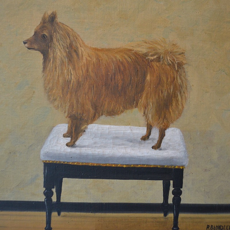 Early 20th Century, Belgian, Naive Dog Portrait-barnstar-naive-dog-4-main-637584121269574945.jpg