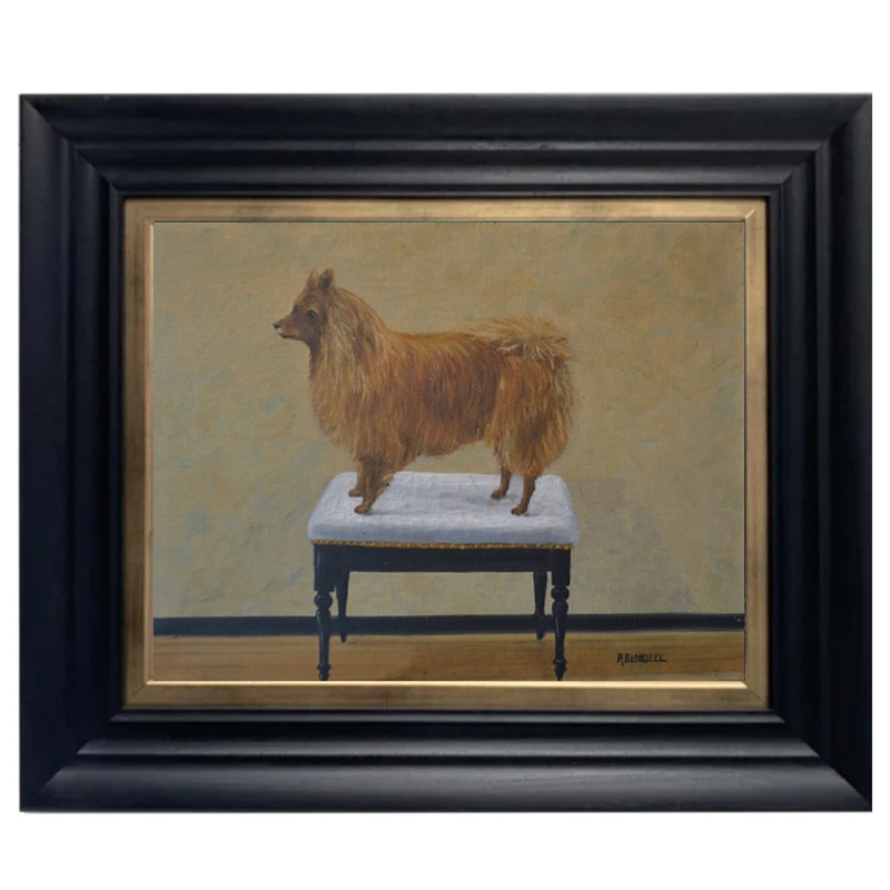 Early 20th Century, Belgian, Naive Dog Portrait-barnstar-naive-dog-main-637584121031761993.jpg