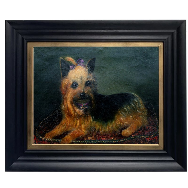 19thC, Painting, Yorkshire Terrier, 'Tilly'-barnstar-yorkshire-terrier-1-main-637524495779646235.jpg