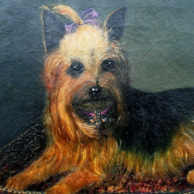 19thC, Painting, Yorkshire Terrier, 'Tilly'-barnstar-yorkshire-terrier-5-main-637524497231357575.jpg