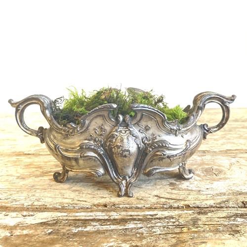 Little Antique French Jardiniere