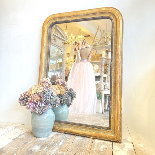 C19th French Gilt Louis Philippe Mirror