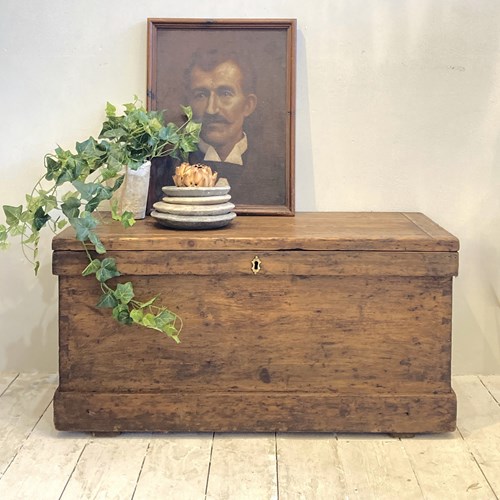 Victorian Pine Trunk