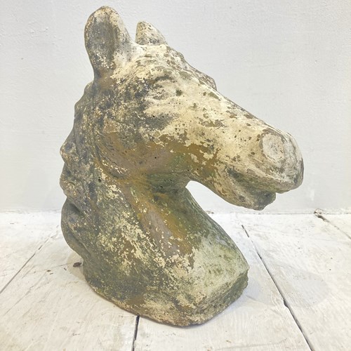 Weathered Horse Head