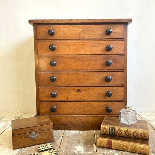 Victorian Specimen Or Collectors Chest A