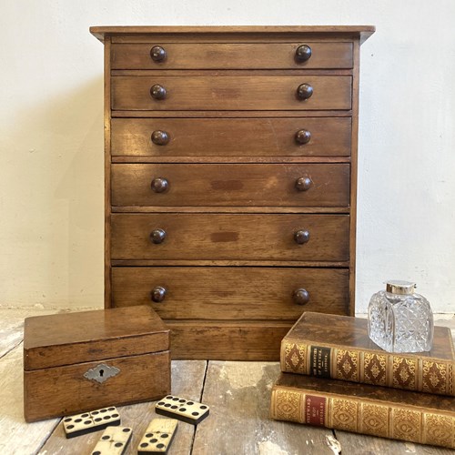 Victorian Specimen Or Collectors Chest B