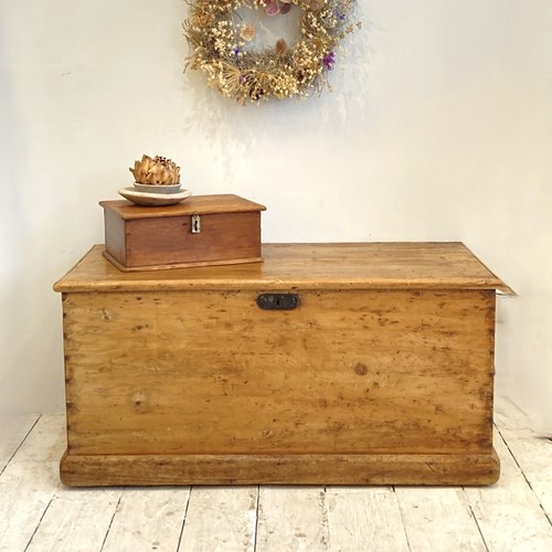 Victorian Pine Trunk