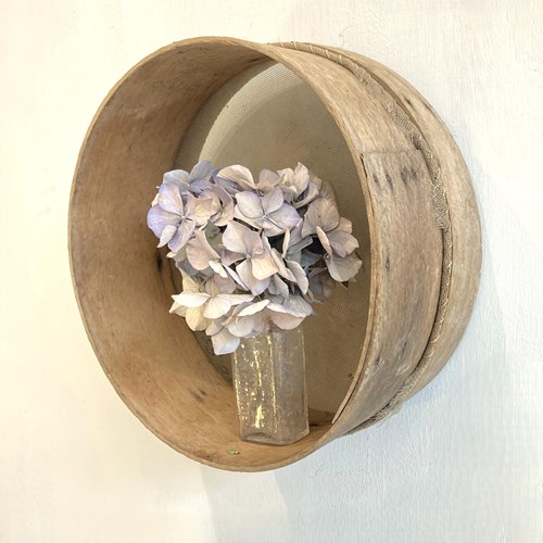 Rustic Bentwood Riddle