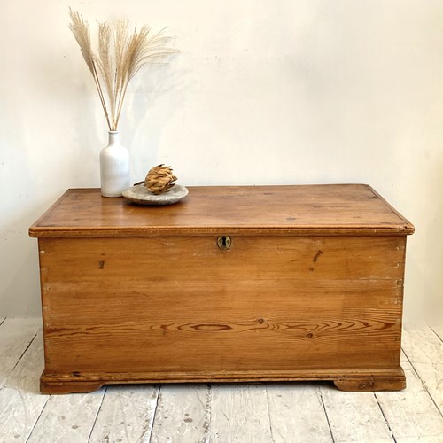 Victorian Pine Trunk