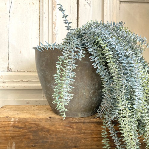 Verdigris Planter Or Champagne Bucket