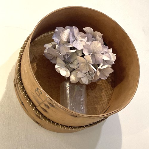 Rustic Bentwood Riddle