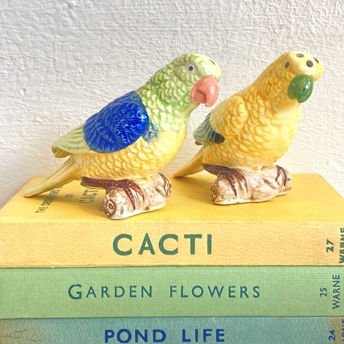 Pair Of Ceramic Parakeet Cruets