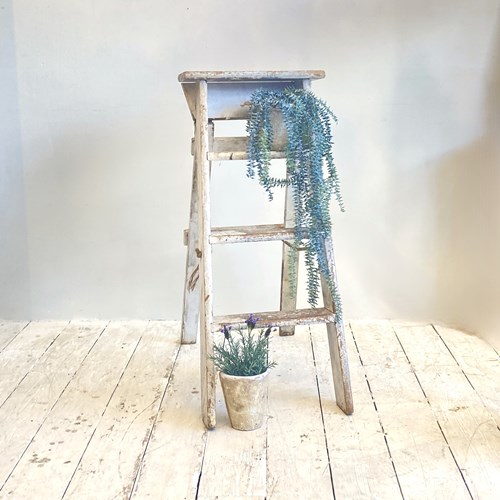 Rustic Step Ladder