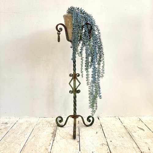 Wrought Iron Plant Stand