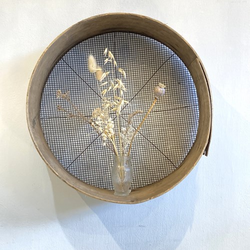 Vintage Garden Riddle C