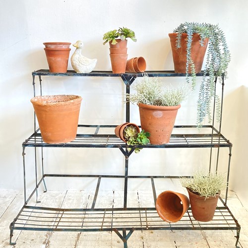French 3 Tier Plant Stand