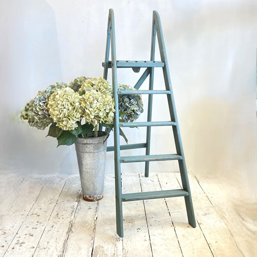 Painted Step Ladder