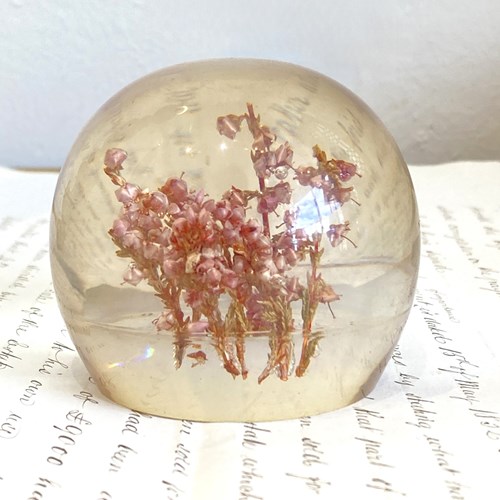 Botanical Paperweight - Pink Heather