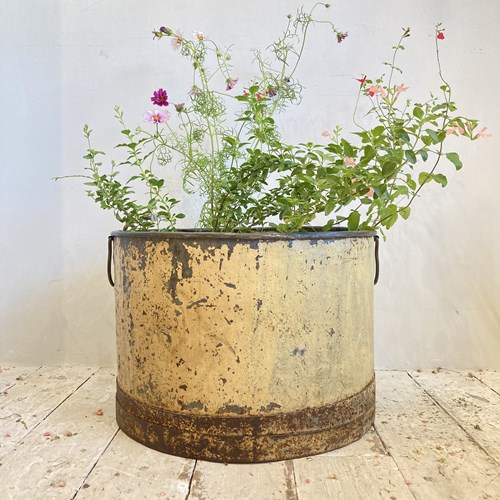 Large Galvanised Tub Planter