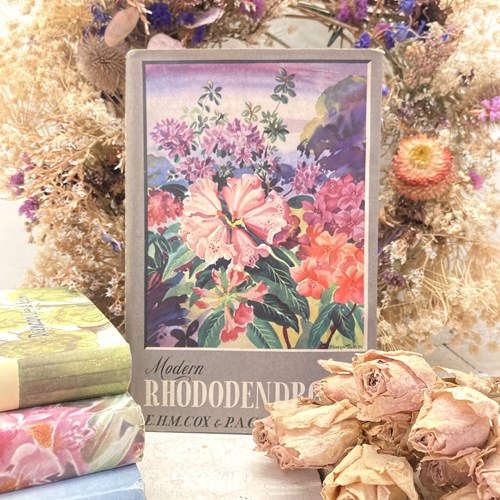 Modern Rhododendrons - 1955 Gardening Book