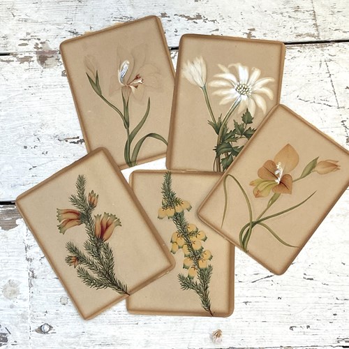 5 Victorian Floral Watercolours