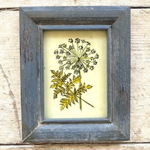 Indian Glass Painting Of An Allium