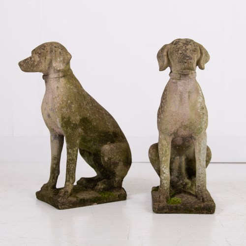 Great Pair Of Weathered Stone Dogs
