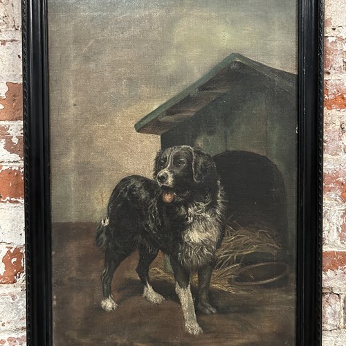 Large Framed Signed Late C19th Dog Portrait Oil Painting On Canvas 