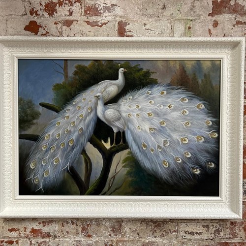 Large Framed Mid-Late C20th White Peacock Oil Painting 