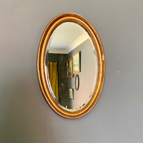 Small Oval Decorative Gilt Framed Mirror