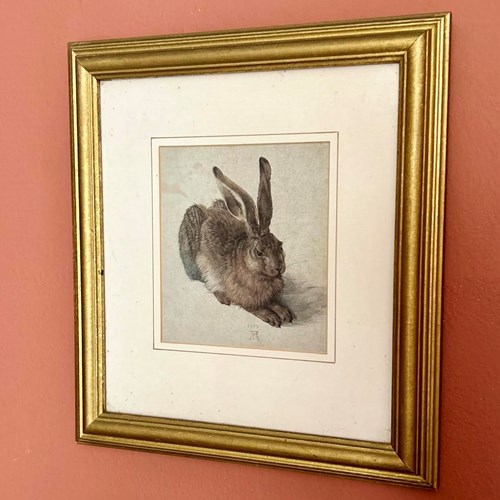 Young Hare By Albrecht Dürer - Print In Gilt Frame