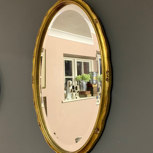 Vintage Oval Decorative Gilt Mirror With Bevelled Glass