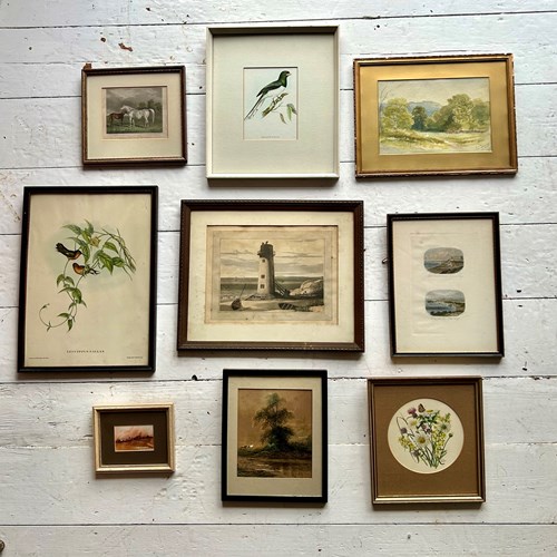Collection Of 9 Antique & Vintage Framed Paintings And Prints