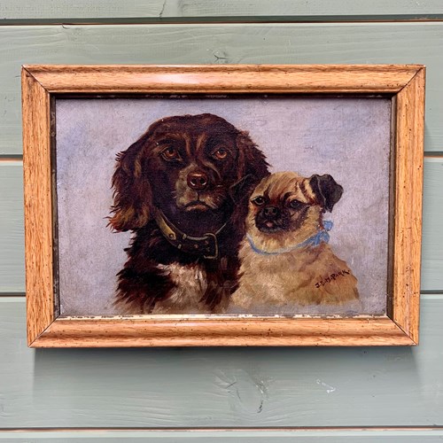 Portrait Of A Spaniel And A Pug
