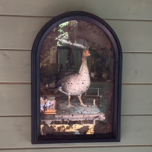 Victorian Foxed Mirror