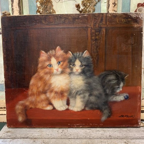 3 Kittens - 19Th Century Oil On Canvas 