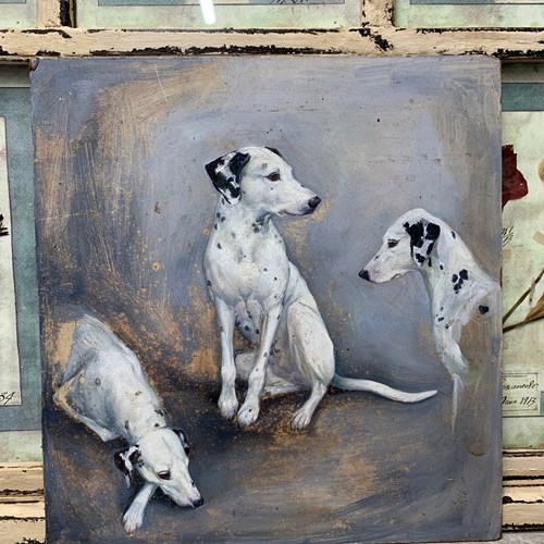 3 Dalmatians Oil On Board - Manner Of F T Daws