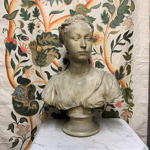 19Th Century Plaster Bust By D. Brucciani