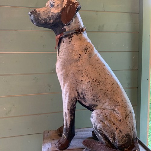 Life Size French Plaster Figure Of A Dog