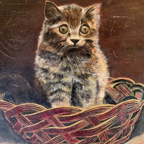 Oil Portrait Of A Startled Kitten