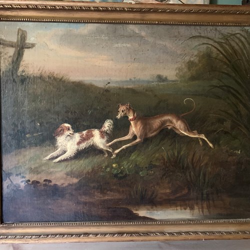 Dogs In A Landscape - 19Thc Oil On Canvas