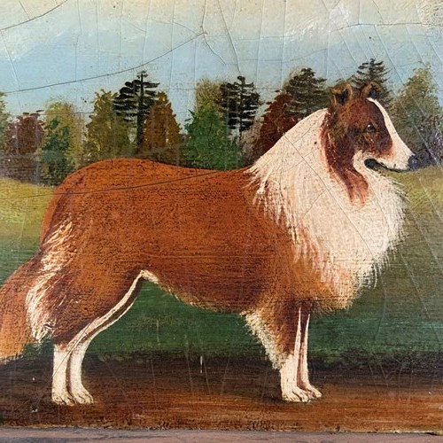 Naive School Oil On Panel Of A Collie Dog