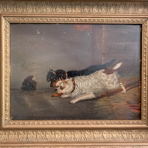 Oil On Board - 2 Terriers - Signed E Loder