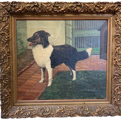 A Much Loved French Pooch - Oil On Canvas