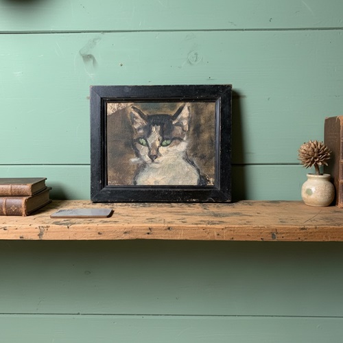 Early 20Th Century Oil Sketch Of A Cat