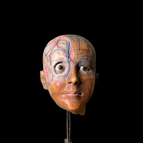 Antique Anatomical Wax Head