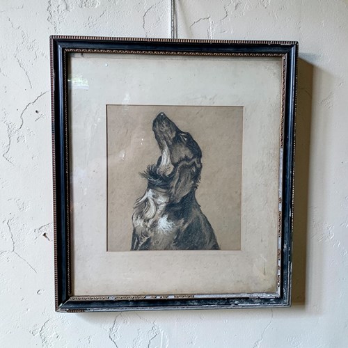 A Charming Antique Charcoal Drawing Of A Dog