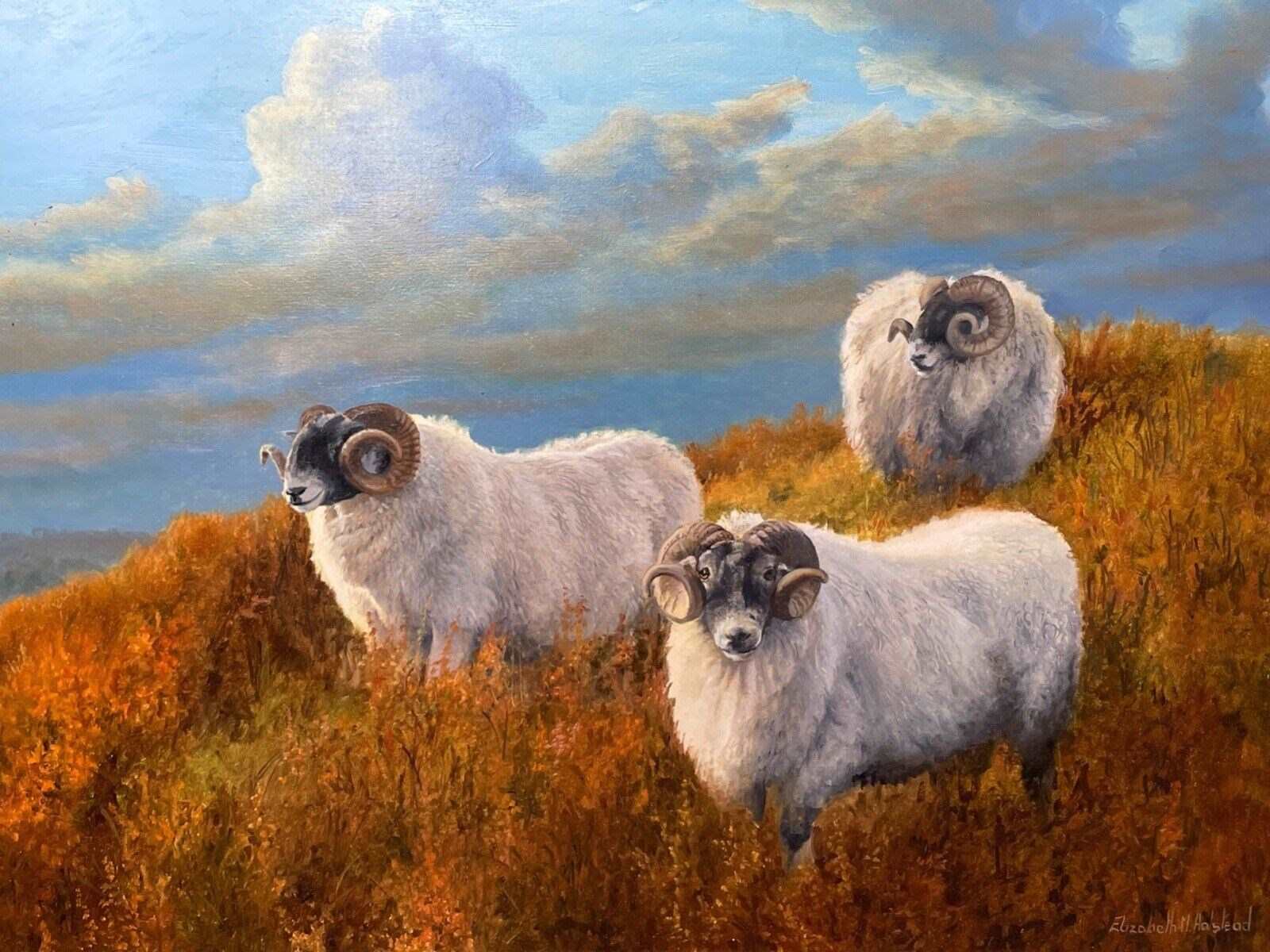 Oil Painting Portrait 3 Sheep In Scottish Highlands The Hoarde