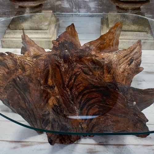 Antique Chestnut Tree Root Coffee Table